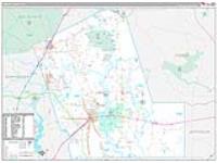 Liberty, Tx Carrier Route Wall Map