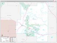Lincoln, Nm Carrier Route Wall Map