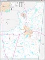 Lowndes, Ms Carrier Route Wall Map
