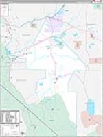 Lyon, Nv Carrier Route Wall Map