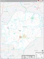 Macon, Ga Carrier Route Wall Map