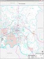 Madison, Al Carrier Route Wall Map