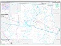 Madison, Fl Carrier Route Wall Map