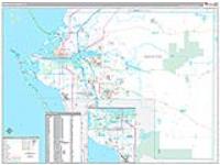 Manatee, Fl Carrier Route Wall Map