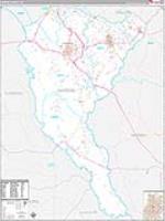Marion, Sc Carrier Route Wall Map