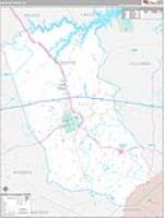 Mcduffie, Ga Carrier Route Wall Map