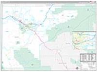 Mesa, Co Carrier Route Wall Map