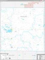 Missaukee, Mi Carrier Route Wall Map