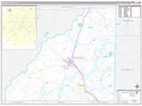 Mitchell, Ga Carrier Route Wall Map