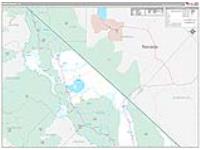 Mono, Ca Carrier Route Wall Map
