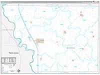 Monona, Ia Carrier Route Wall Map