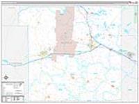Monroe, Wi Carrier Route Wall Map