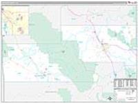 Montrose, Co Carrier Route Wall Map