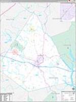 Morgan, Ga Carrier Route Wall Map