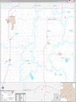 Neosho, Ks Carrier Route Wall Map