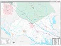 Newberry, Sc Carrier Route Wall Map