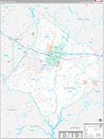 Newton, Ga Carrier Route Wall Map
