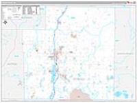 Otsego, Mi Carrier Route Wall Map