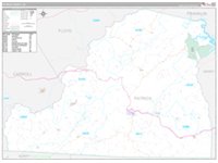 Patrick Co Map Patrick County, VA Wall Map Color Cast Style by MarketMAPS - MapSales
