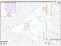 Peach, Ga Carrier Route Wall Map