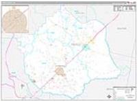 Pierce, Ga Carrier Route Wall Map