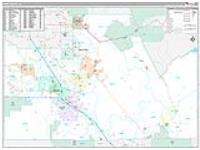 Pinal, Az Carrier Route Wall Map