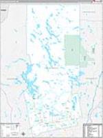Piscataquis, Me Carrier Route Wall Map
