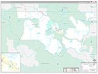 Pitkin, Co Carrier Route Wall Map