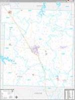 Polk, Mo Carrier Route Wall Map