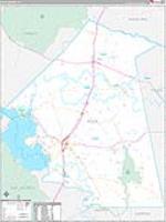 Polk, Tx Carrier Route Wall Map