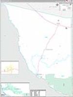 Presidio, Tx Carrier Route Wall Map