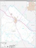 Pulaski, Ga Carrier Route Wall Map