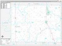 Pulaski, In Carrier Route Wall Map