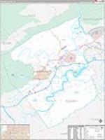 Pulaski, Va Carrier Route Wall Map