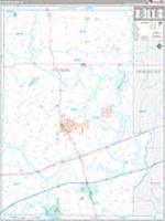 Putnam, In Carrier Route Wall Map
