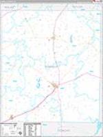 Runnels, Tx Carrier Route Wall Map