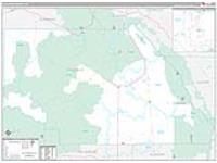 Saguache, Co Carrier Route Wall Map