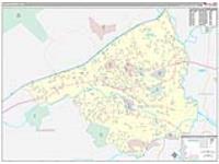 Salem, Va Carrier Route Wall Map