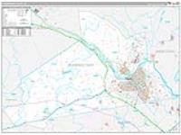 Schenectady, Ny Carrier Route Wall Map