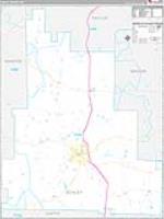 Schley, Ga Carrier Route Wall Map
