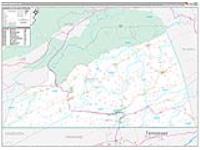 Scott, Va Carrier Route Wall Map