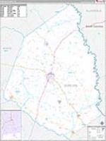 Screven, Ga Carrier Route Wall Map