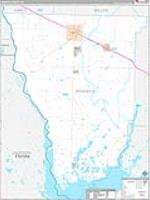 Seminole, Ga Carrier Route Wall Map