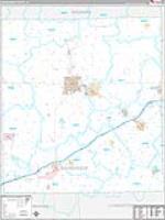 Shiawassee, Mi Carrier Route Wall Map