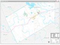Somervell, Tx Carrier Route Wall Map