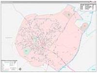 Staunton, Va Carrier Route Wall Map