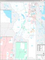Sumter, Fl Carrier Route Wall Map