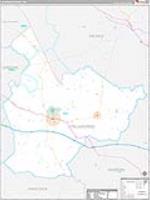 Taliaferro, Ga Carrier Route Wall Map