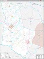Tattnall, Ga Carrier Route Wall Map