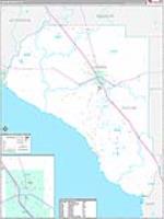 Taylor, Fl Carrier Route Wall Map
